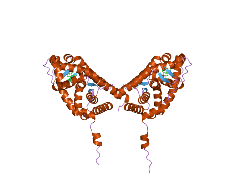 File:PDB 2aa5 EBI.png