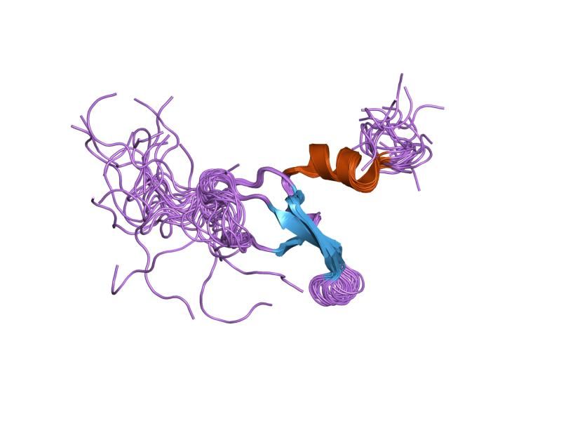 File:PDB 2dnv EBI.jpg