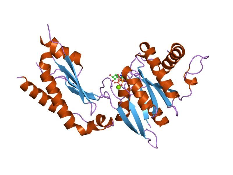 File:PDB 2fh5 EBI.jpg