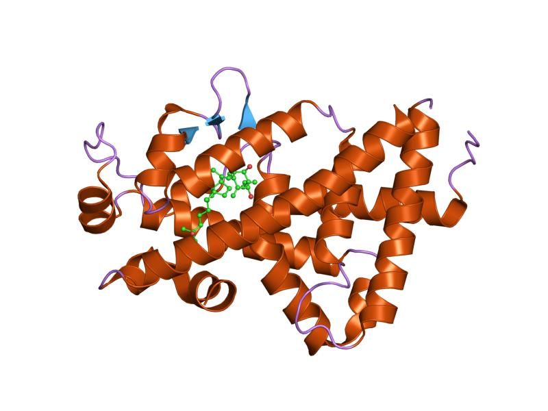 File:PDB 2ham EBI.jpg