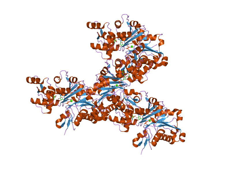 File:PDB 2oan EBI.png