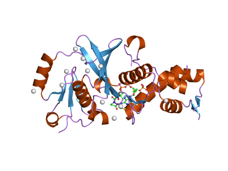 File:PDB 2pq8 EBI.png