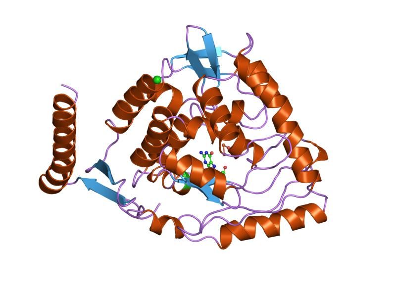 File:PDB 2toh EBI.jpg