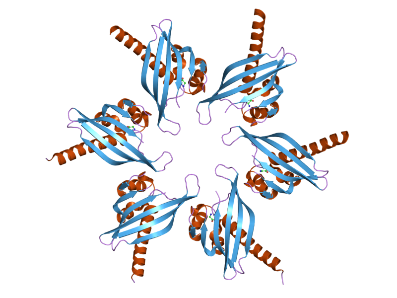 File:PDB 2ux0 EBI.png