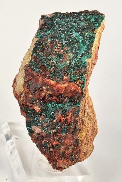 File:Paratacamite-290428.jpg