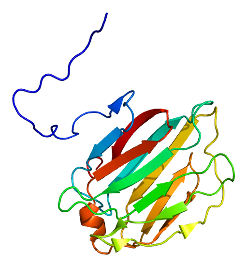 File:Protein LGALS4 PDB 1x50.png