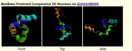 File:Secondary Structure .png