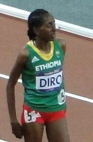 File:2012 Olympic steeplechase start-Diro (cropped).JPG