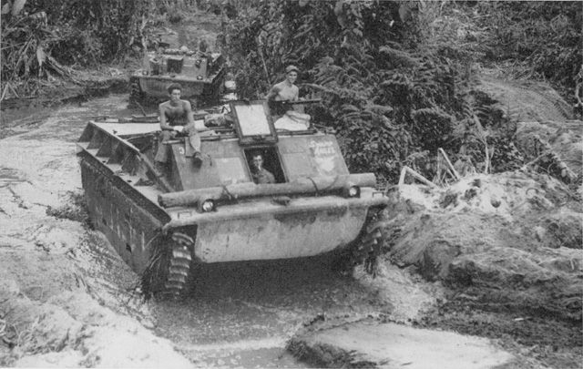 File:3dAmtrac at Bougainville.jpg