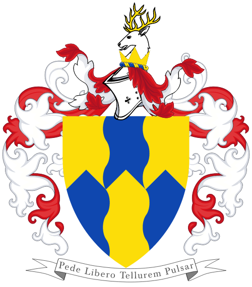 File:Arms of Michael Flatley.png