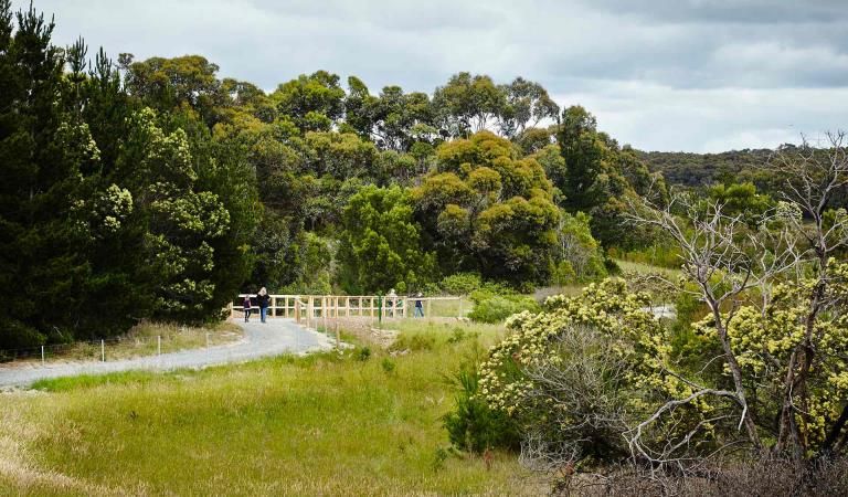 File:Devilbend-Walking-Track.jpg