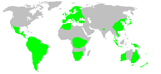 File:Distribution.anapidae.1.png