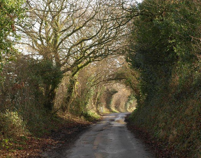 File:Exwick Lane - geograph.org.uk - 1740507.jpg