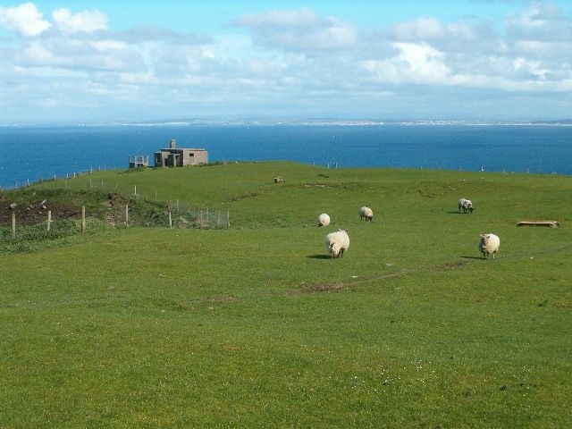 File:Inishowen Head - geograph.org.uk - 172897.jpg