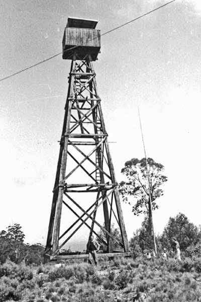 File:Mt Nowa Nowa fire tower.jpg