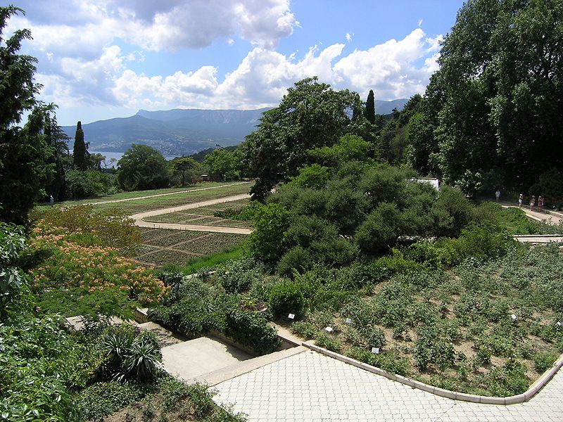 File:Nikitsky Botanical Garden 1.jpg