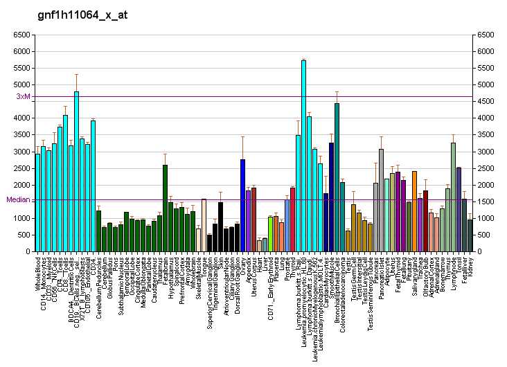 File:PBB GE HIST3H2BB gnf1h11064 x at fs.png