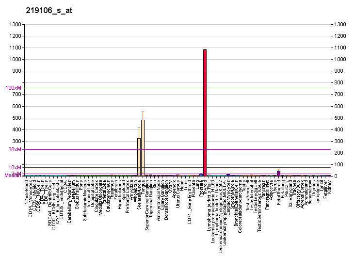 File:PBB GE KBTBD10 219106 s at fs.png