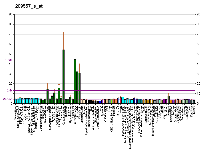 File:PBB GE NCDN 209557 s at fs.png