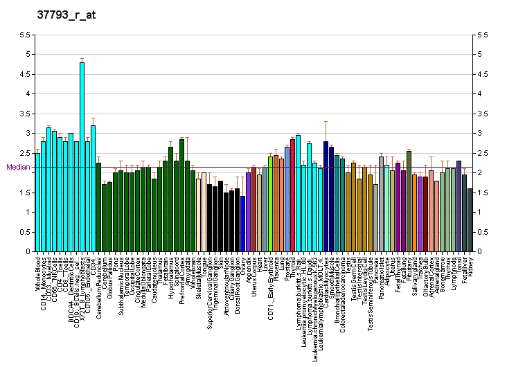 File:PBB GE RAD51L3 37793 r at fs.png