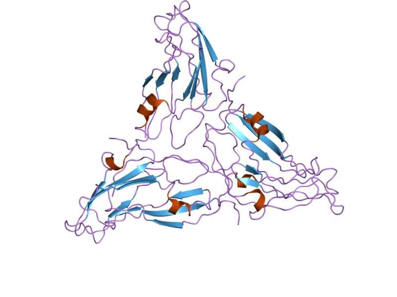 File:PDB 1e57 EBI.jpg