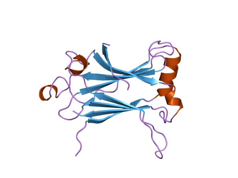 File:PDB 1lb6 EBI.jpg