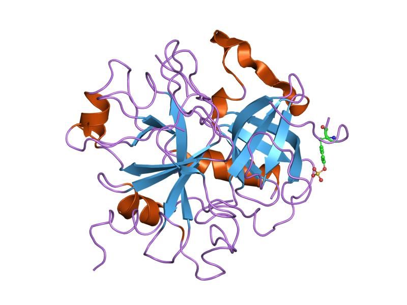 File:PDB 1ny2 EBI.jpg