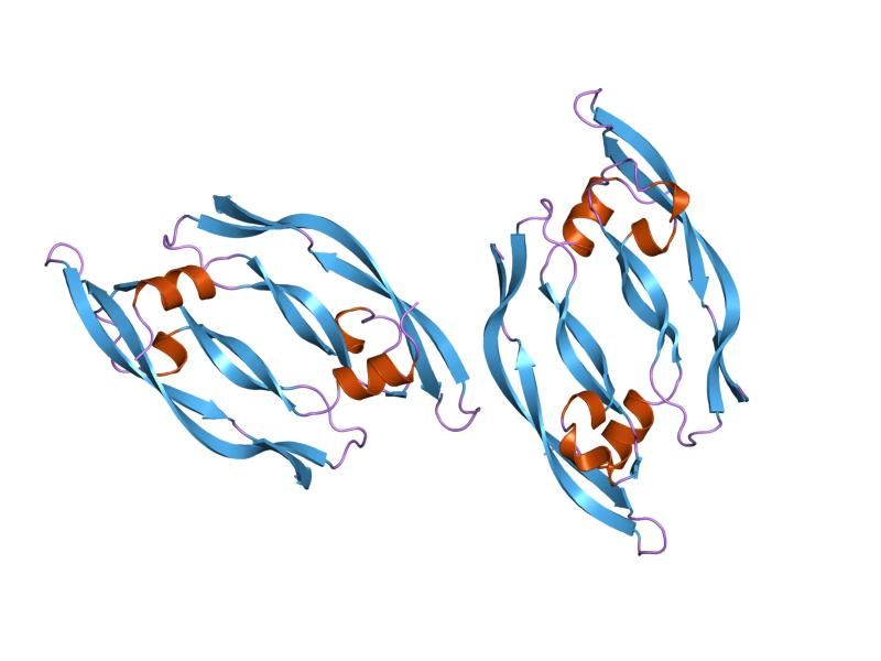 File:PDB 1vpf EBI.jpg