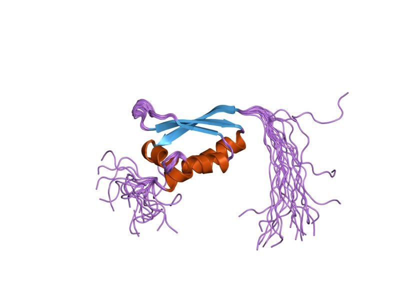 File:PDB 1x4n EBI.jpg