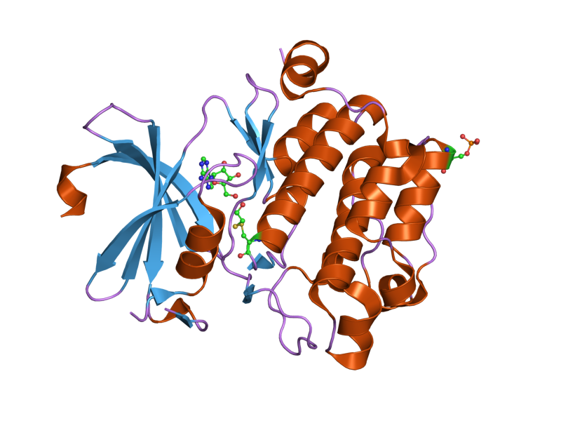 File:PDB 1yi4 EBI.png