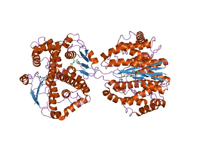 File:PDB 2ab6 EBI.jpg