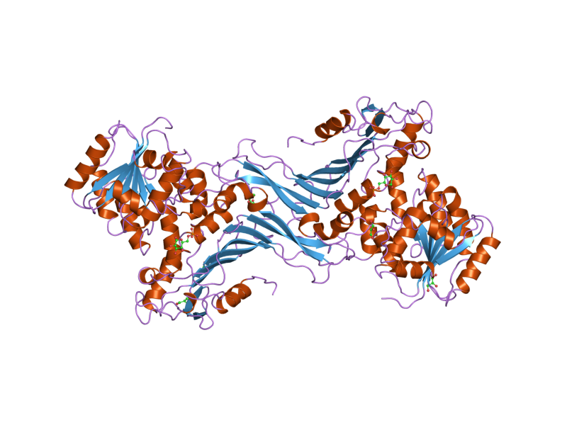 File:PDB 2bhl EBI.png