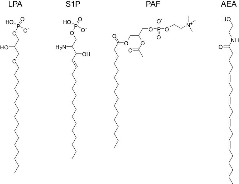 File:Signaling lipids2.png