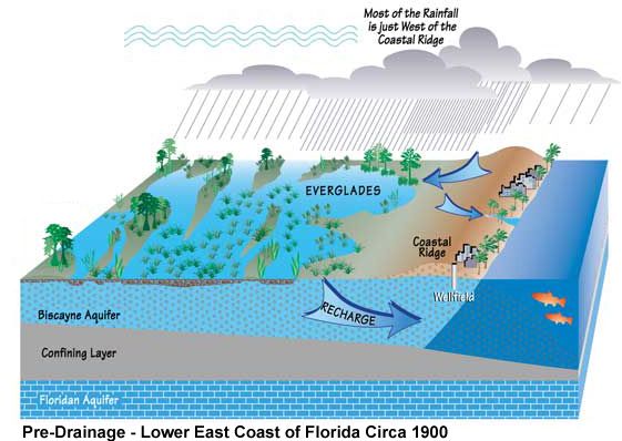 File:South Florida Pre-drainage.jpg