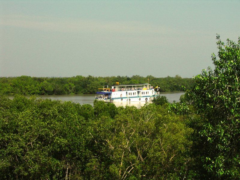 File:Sundarbans 09.jpg