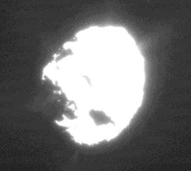 File:Comet wild 2 jet plumes.jpg