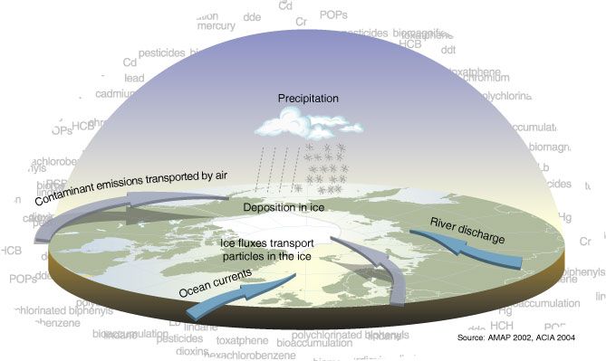 File:Contamination pathways large.jpg