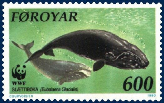 File:Faroe stamp 199 Eubalaena glacialis.jpg