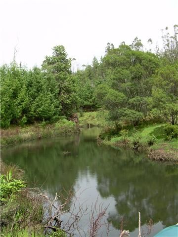 File:KM-Second Trout Stream pools above falls.jpg