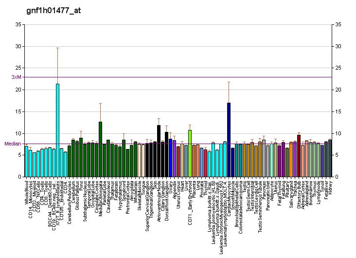 File:PBB GE ECT2 gnf1h01477 at fs.png