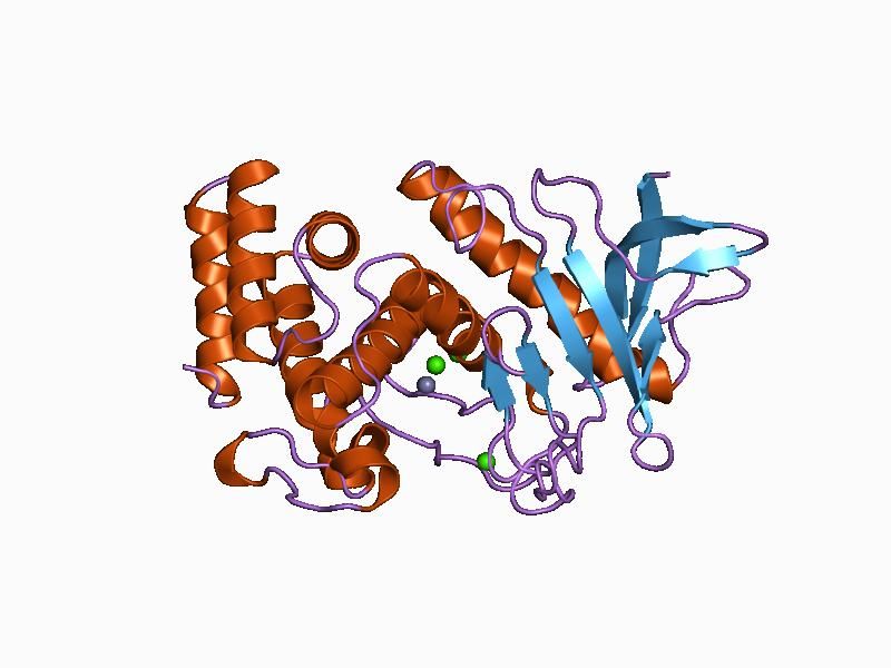 File:PDB 1bqb EBI.jpg