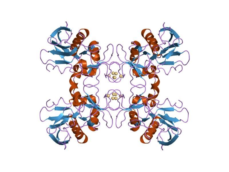 File:PDB 1fnv EBI.jpg