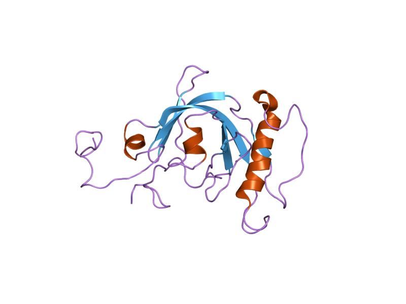 File:PDB 1oy2 EBI.jpg