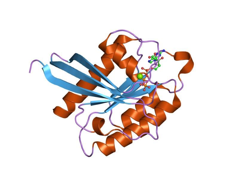 File:PDB 1xts EBI.jpg