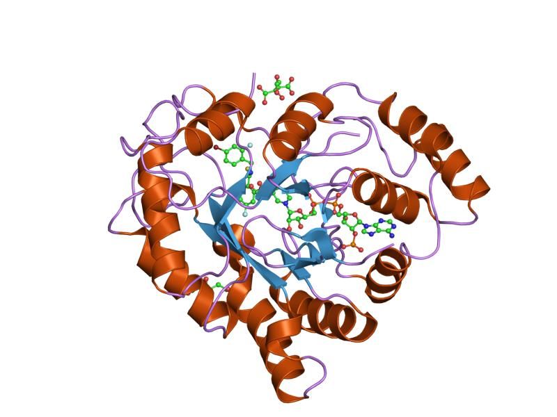 File:PDB 2i16 EBI.jpg