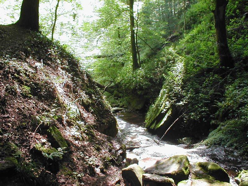 File:Zwingenberg-wolfsschlucht-web.jpg