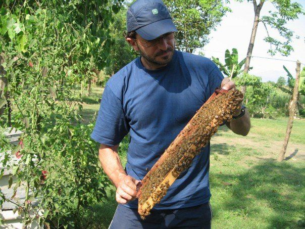 File:BeeKeeping.jpg