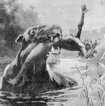 File:Bunyip 1890 (cropped).jpg