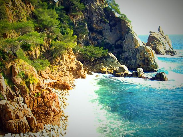 File:Cala S'Agulla (Blanes).jpg