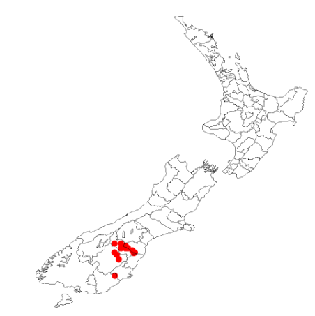 File:Carmichaelia curtaDistNZ.png